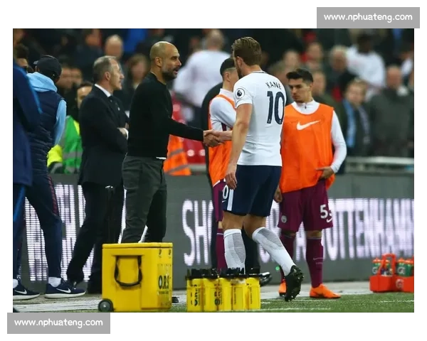 热刺敲定帕利尼亚租借！700 万欧 + 全额薪资，葡国铁腰驰援波斯特科格鲁