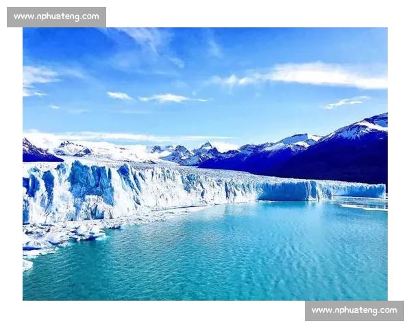 神秘的阿根廷电竞力量,究竟藏着怎样的惊喜